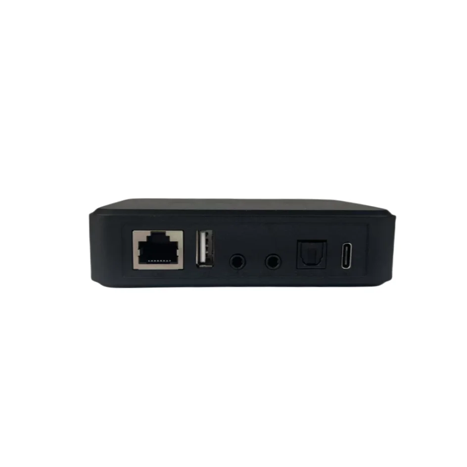 Arylic LP10 Wireless Music Str - Audio Music Google ulasan dan harga
